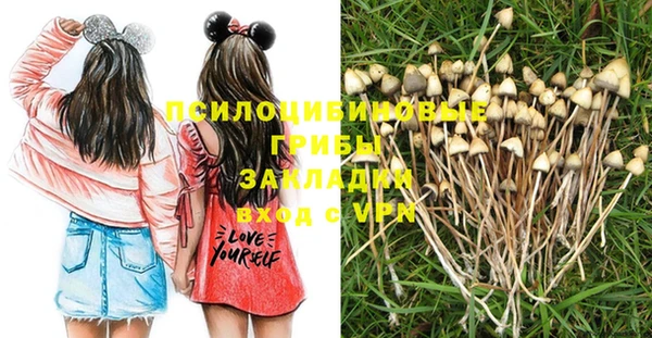 MDMA Козловка